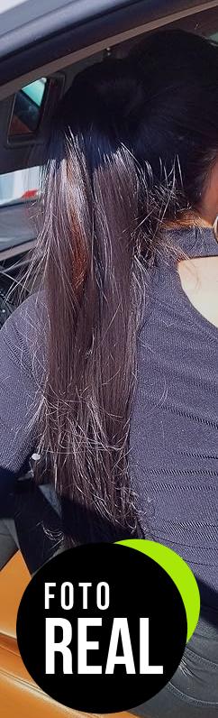 feshfen-cola-de-caballo-extensiones-70-cm-foto-2