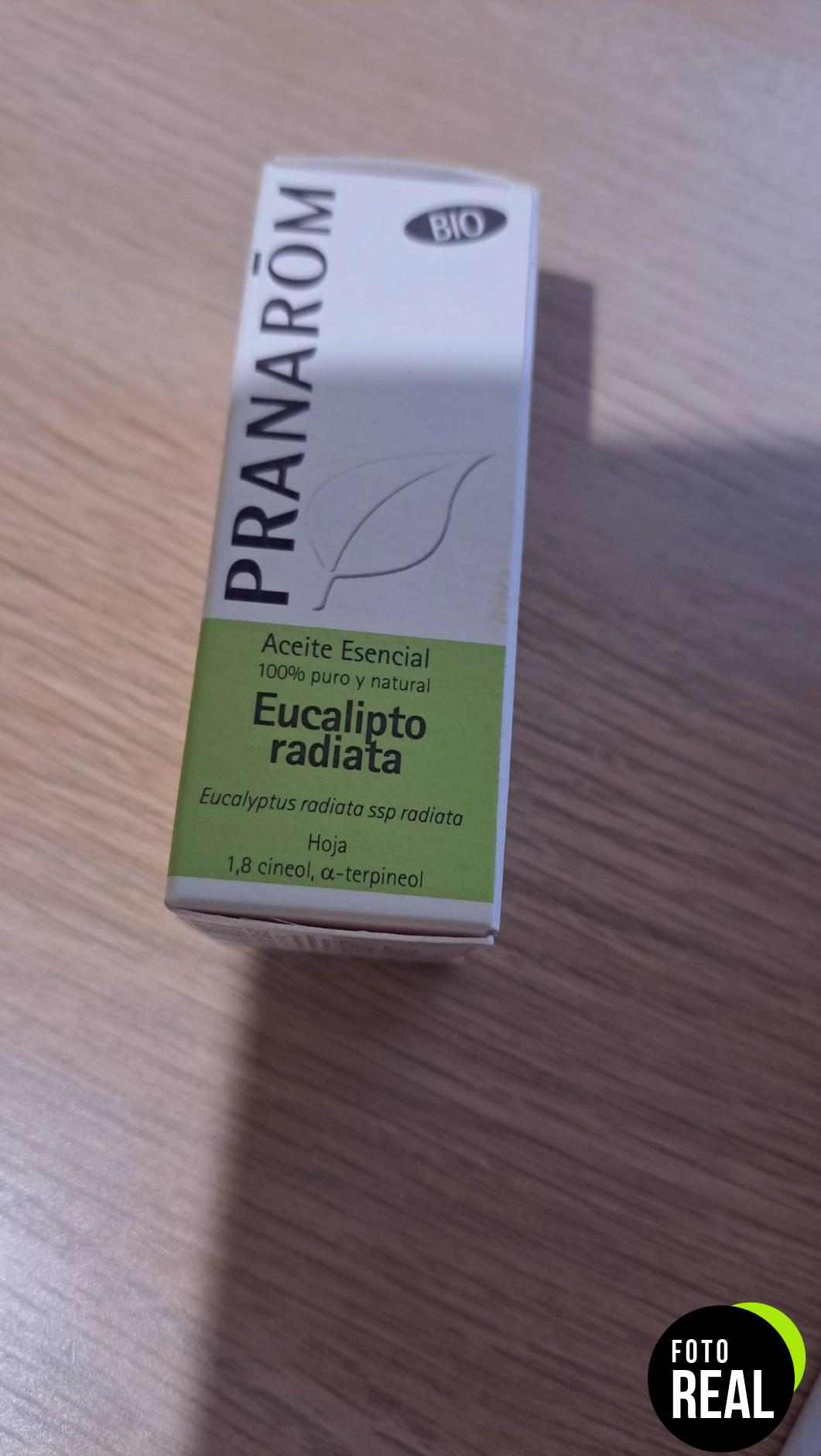 eucalipto-radiata-bio-aceite-esencial-10ml-foto-3
